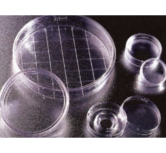Falcon Standard 60x15mm Cell Culture Dishes (셀컬처디쉬) FA.353002, FA.353802